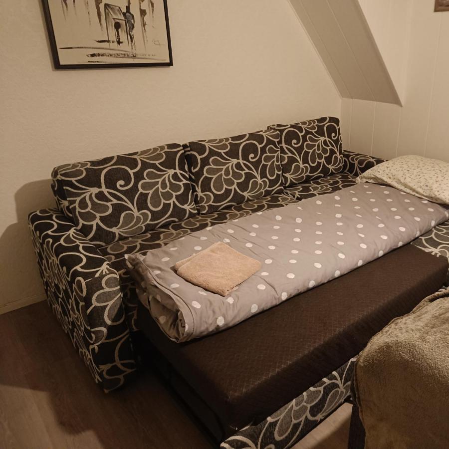 Homestay Arctic Hage